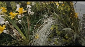 Relax music  Meditation  Calm music on spring #relaxmusic #softmusic #chillmusic