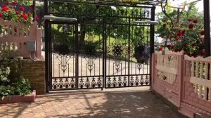 Привод для распашных ворот Nice Wingo WG3524HS