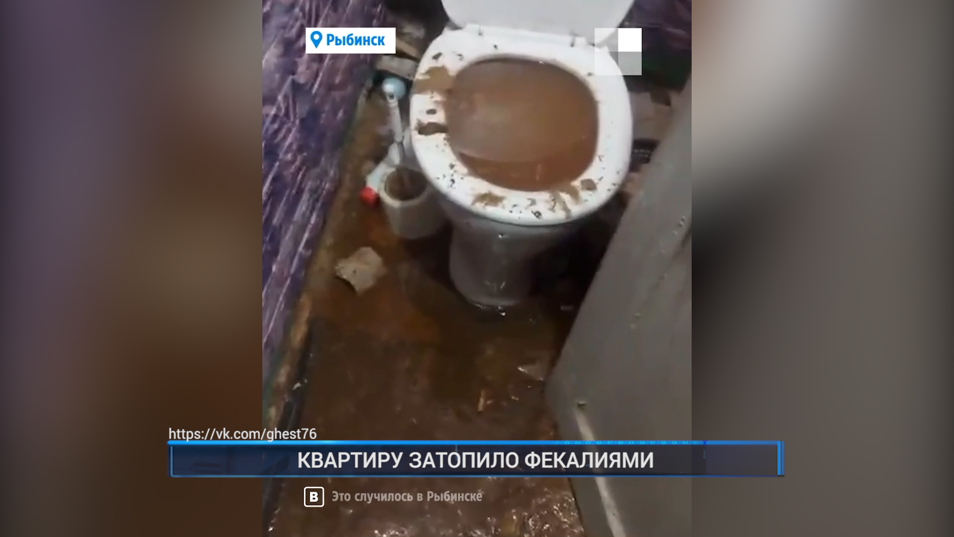 новости р рыбинска. администрация города рыбинска. корреспонденты рыбинск 40. новости р рыбинска. новости рыбинска 40 вчера.