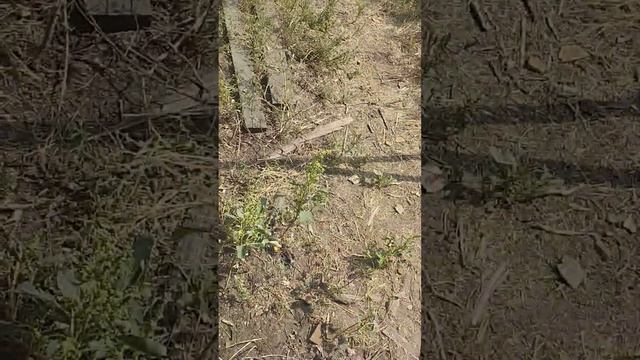 своими силами поменял крышку КПП 5 передачи Рено Логан 8200297214 смотреть онлайн