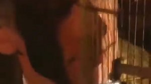 Генри Форд. Гении и Злодеи