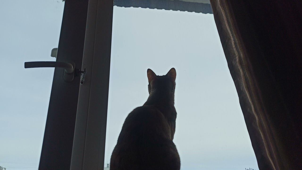 4 апреля 2021 г. смотреть онлайн