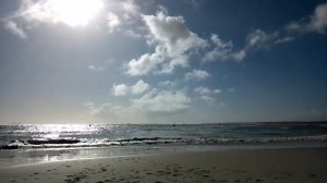 Port Nolloth Beach, German Shepherd dogs