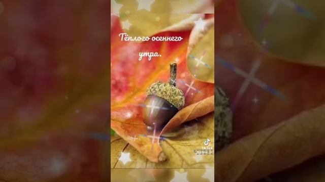 Доброго осеннего утра всем вам, мои друзья! смотреть онлайн