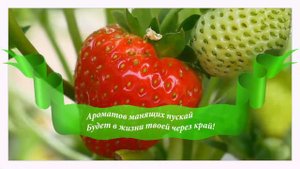 С Днём Рождения, Зарина!