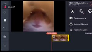 Как сделать | Эффект Рыбьего глаза | Kinemaster