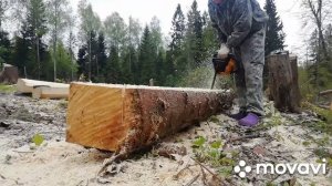 Как сделать брус из бревна самостоятельно бензопилой в полевых условиях.