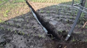 Монтаж солнечных панелей на наземную конструкцию | Solar panel