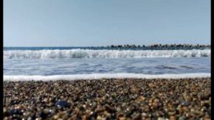 Интересные факты о Японском море.