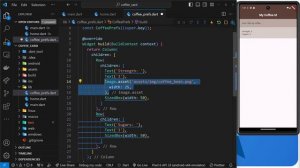 Экспресс-курс Flutter #13 - Изображения