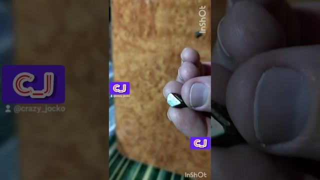 золото дураков. Кристал соли