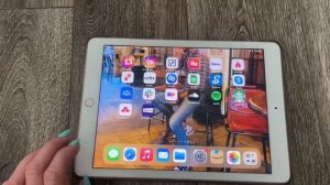 iPad Pro MM172LL/A 9.7-inch (32GB, Wi-Fi, Rose Gold) 2016 Model (Renewed)