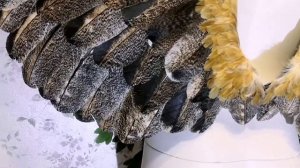 крылья птицы из натуральных перьев #ЛисьяМастерская