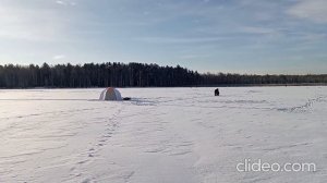 Рыбалка на Белоярке 24 ноября 2023 г. Надводная версия.