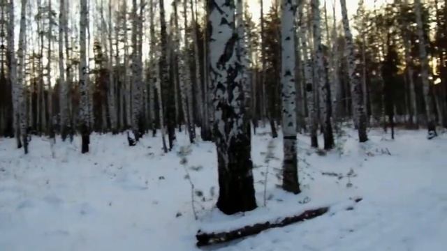 Если хочешь быть здоров...