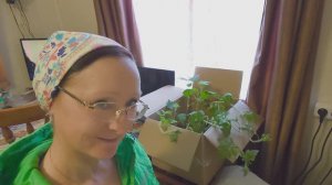 Видео привет с 6 соток 10 мая 2024 года.