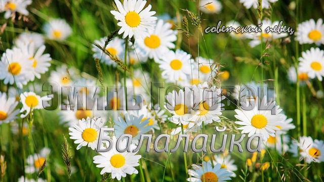 Балалайка - Эмиль Горовец