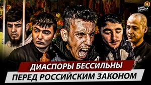 Диаспоры бессильны перед российским законом (Анна Сочина)