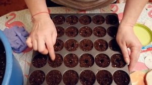 ПОСЕВ СЛАДКОГО ПЕРЦА В (КАССЕТУ). ЛЕГКО!!! СЕЗОН 2020!