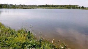 Рыбалка Танай квадрат мр 4