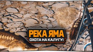 Просидел 11 часов чтобы поймать Калугу — Русская Рыбалка 4