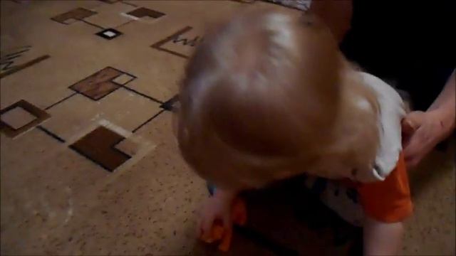 журнал №6 животные дикой природы (DeAgOsTiNi) смотреть онлайн