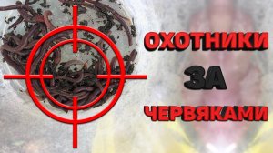 Изабелла и Анфиса охотятся за червяками для кур..mkv