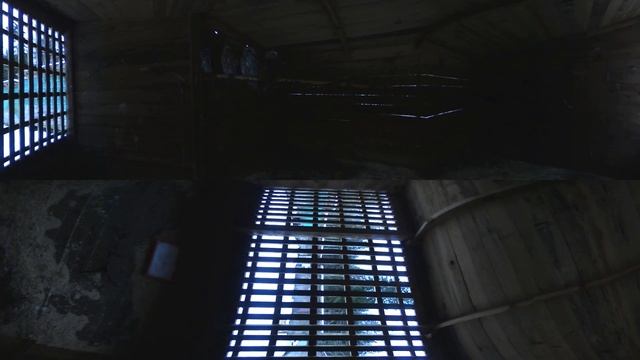 Центр реабилитации и реинтродукции диких животных "Сирин" | панорамное видео смотреть онлайн