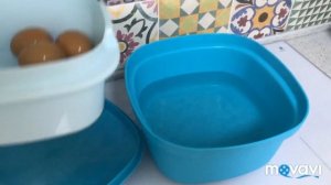 Термосервирователь Tupperware Варим яйца?