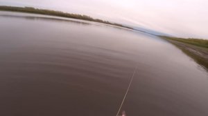 Рыбалка Сплавной Сетью | Рыбалка Сетями По Открытой Воде.