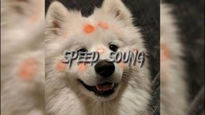 Вайб песни 2023г. 🎧