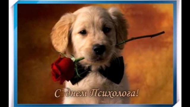 День психолога.mp4 смотреть онлайн