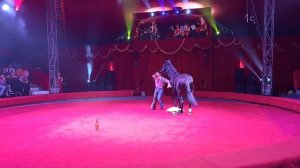 Цирк Дерябкина в Сыктывкаре 2023(1)
