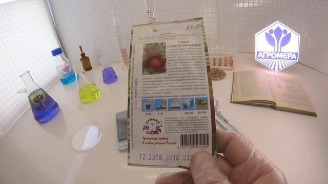 Томат Сахар коричневый. СеДеК смотреть онлайн