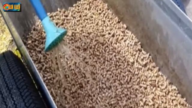 Как улучшить почву с помощью кошачьего древесного наполнителя? смотреть онлайн