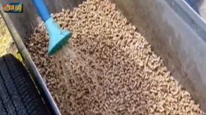 Как улучшить почву с помощью кошачьего древесного наполнителя?