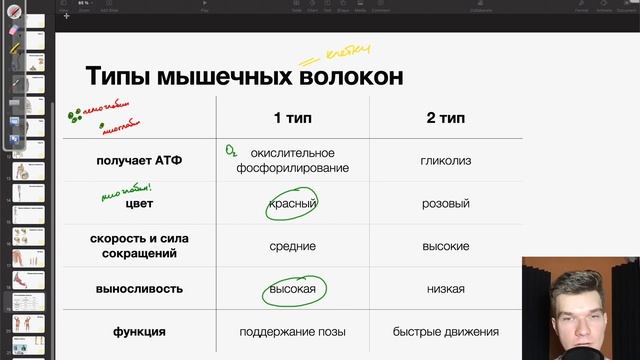6.18. Микростроение мышц | Типы мышечных волокон | Анатомия к ЕГЭ | Георгий Мишуровский
