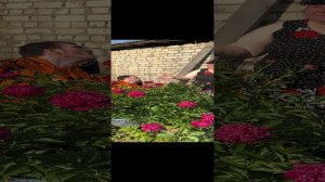 Мой стих посвященный памяти Мамы