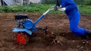 Мотоблок НЕВА + картофелекопалка Дельфин