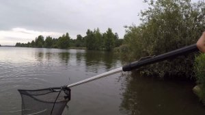 Рыбалка в Дятлово Клинский район
