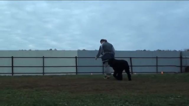 РЧТ