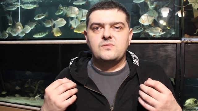 Почему стоит быть осторожным при покупке импортной аквариумной рыбы? смотреть онлайн