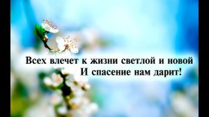 Псалмы Сиона № 84. «Я знаю чудесное Имя»