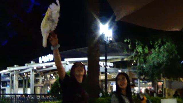 Dinner At OLE RED! 🍔 Kinda Met Blake Shelton? 😂 + Exploring ICON PARK in Orlando, FL смотреть онлайн