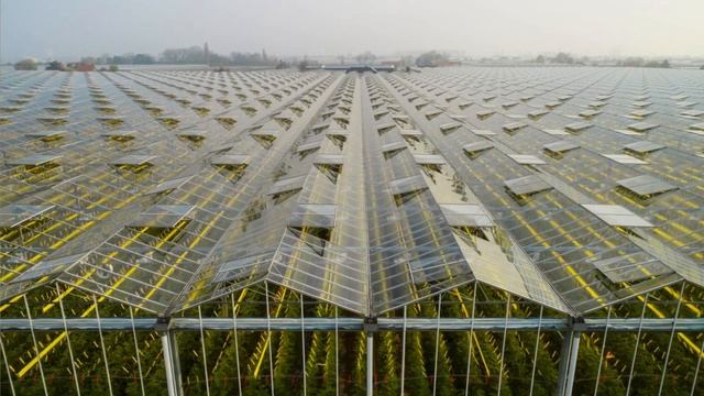 Акарицид Акрамайт - эффективное средство защиты против клещей на всех стадиях развития смотреть онлайн