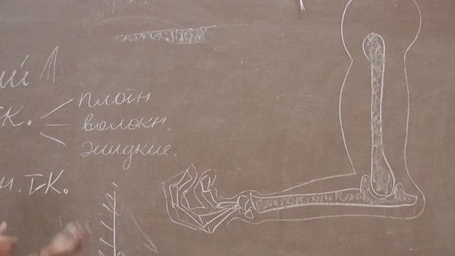 6 Мышцы
