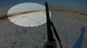 Охота на зайца в Оренбургской области охотхозяйство "Кумакское"