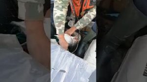 Рыбалка в Молчаново.