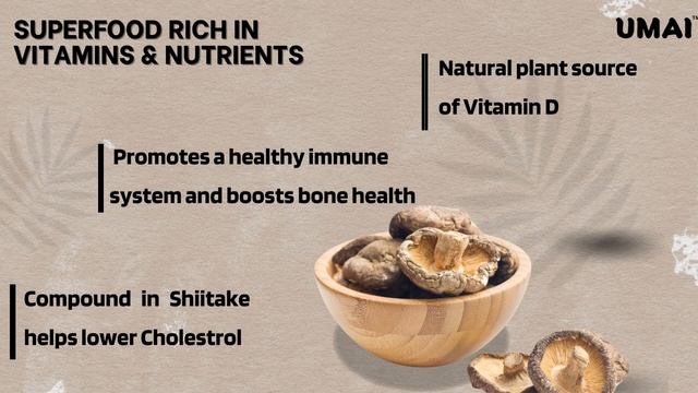 UMAI Dried Shiitake Mushroom смотреть онлайн