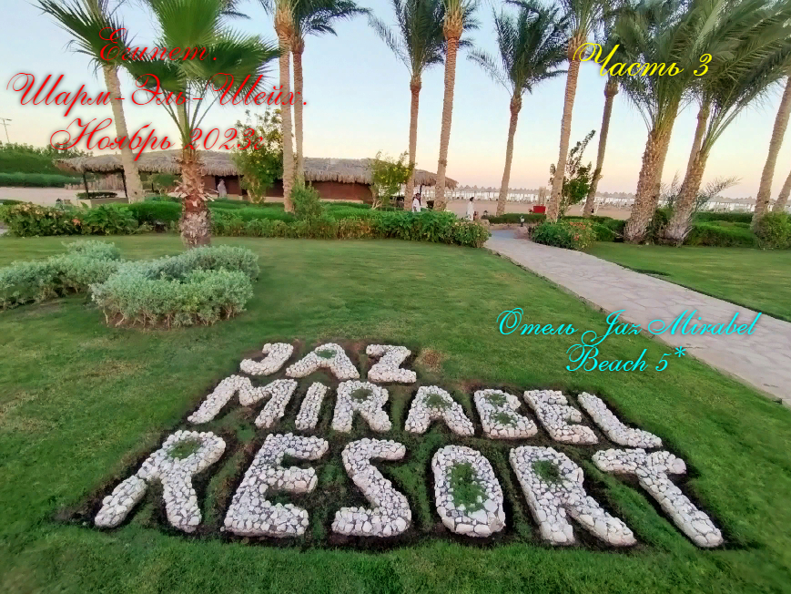 Египет.Шарм-Эль-Шейх 2023г.Отель Jaz Mirabel Beach. смотреть онлайн